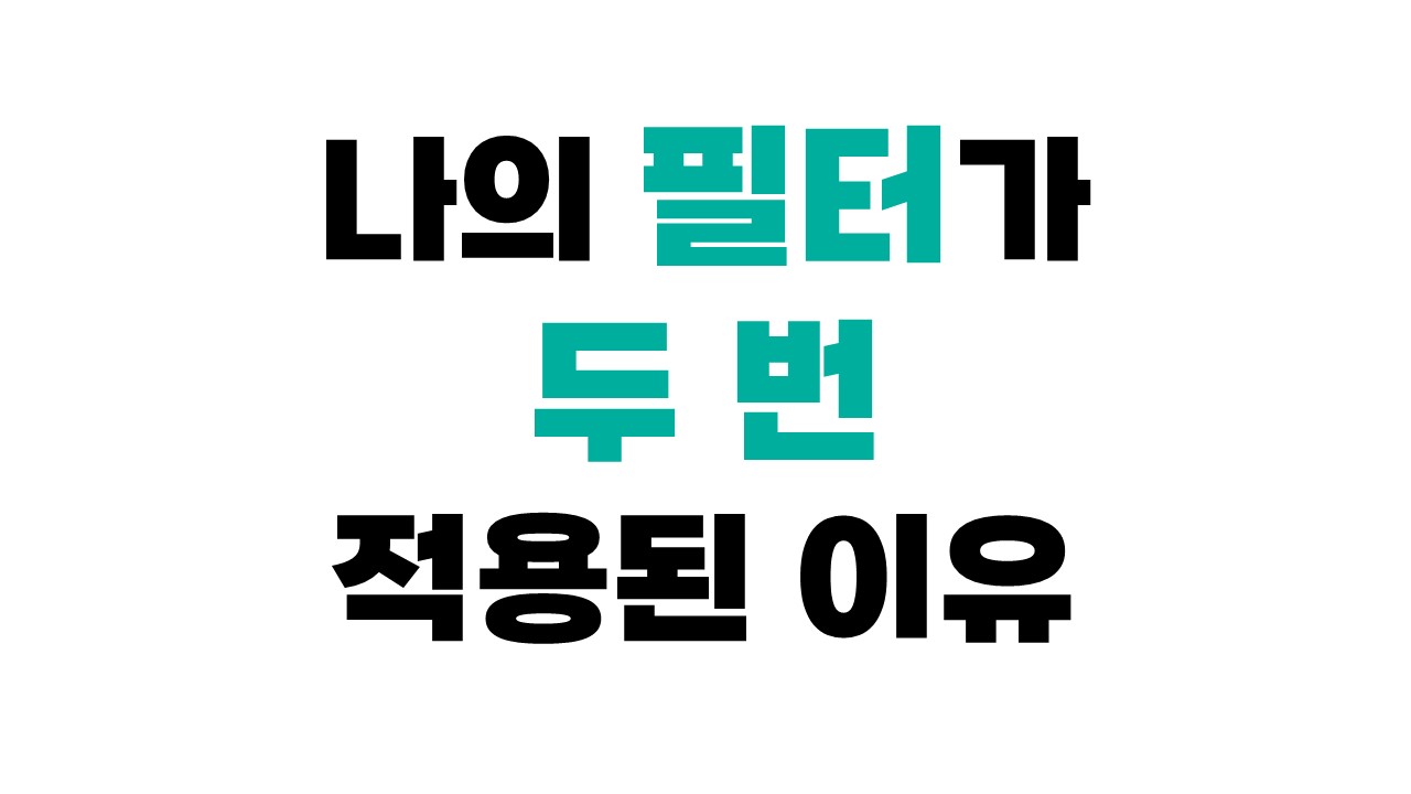 나의 필터가 두 번 적용된 이유