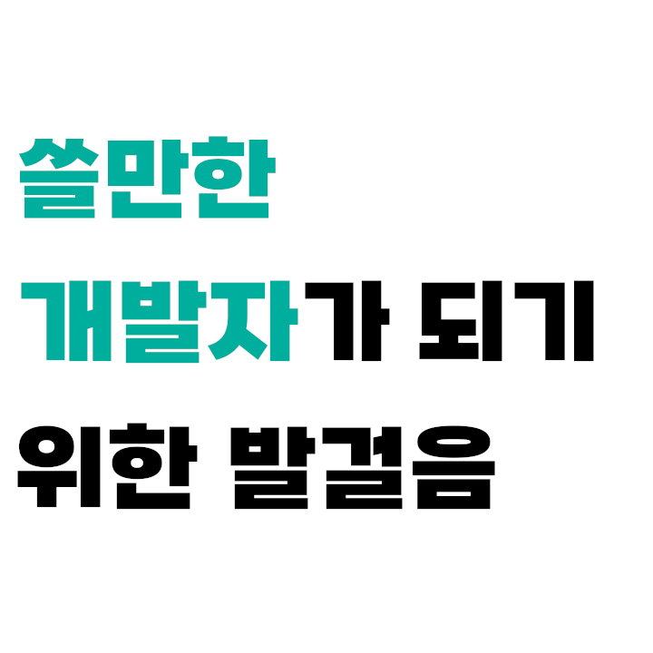 쓸만한 개발자가 되기 위한 발걸음